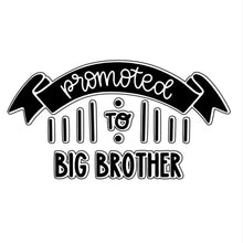 Load image into Gallery viewer, Big Brother

